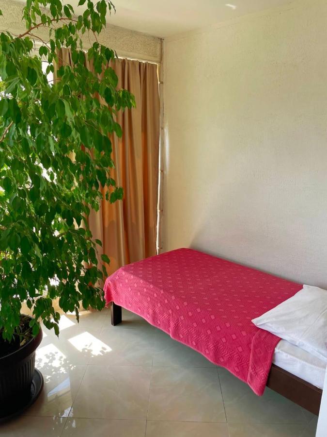 Apartmani Mina Herceg Novi Exteriér fotografie